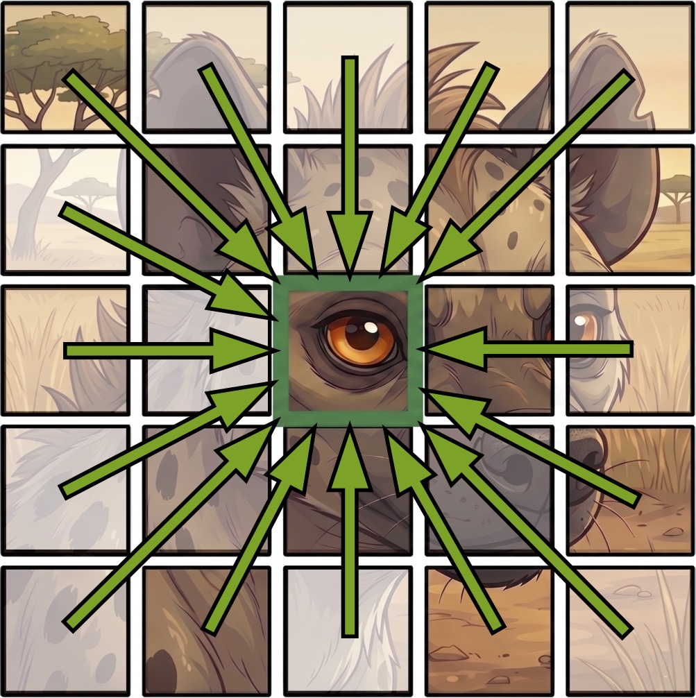 HyenaND receptive field